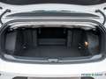 Volkswagen T-Roc Cabriolet 1.0 TSI Goal ACC/LED+/SHZ/Kamera Weiß - thumbnail 9
