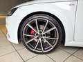Audi TT Coupé 2.0 TDI184CV SLINE ULTRA 87.000KM*EURO6B Bianco - thumbnail 5