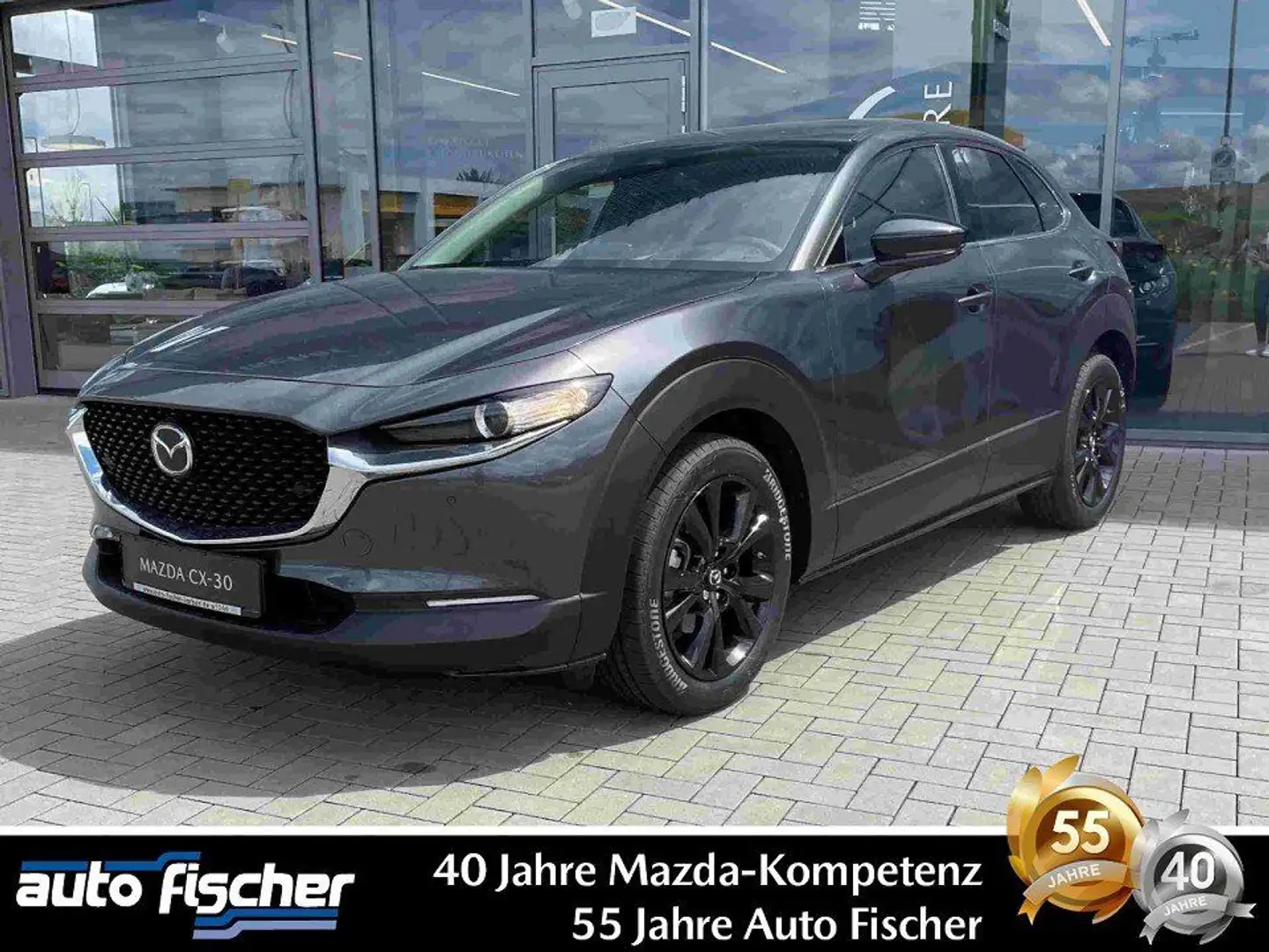 Mazda CX-30 2.0 (186PS) Autom. Homura Rückfahrk. Navi Grau - 1
