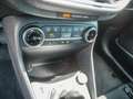 Ford Fiesta 1.0 MHEV Titanium SYNC PDC SHZ LED Blau - thumbnail 6