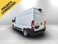 Opel Movano L2H2 2.2d 140cv Allestito  iva escl Weiß - thumbnail 5