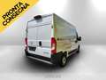 Opel Movano L2H2 2.2d 140cv Allestito  iva escl Weiß - thumbnail 4