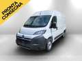 Opel Movano L2H2 2.2d 140cv Allestito  iva escl Weiß - thumbnail 1