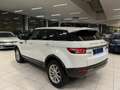 Land Rover Range Rover Evoque 2.2D 110KW EURO 5 Année 2012, 161.000Km Bianco - thumbnail 3