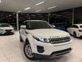 Land Rover Range Rover Evoque 2.2D 110KW EURO 5 Année 2012, 161.000Km Bianco - thumbnail 1