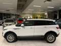 Land Rover Range Rover Evoque 2.2D 110KW EURO 5 Année 2012, 161.000Km Bianco - thumbnail 2