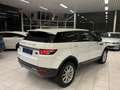Land Rover Range Rover Evoque 2.2D 110KW EURO 5 Année 2012, 161.000Km Bianco - thumbnail 4