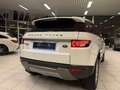 Land Rover Range Rover Evoque 2.2D 110KW EURO 5 Année 2012, 161.000Km Bianco - thumbnail 8