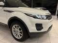 Land Rover Range Rover Evoque 2.2D 110KW EURO 5 Année 2012, 161.000Km Bianco - thumbnail 7