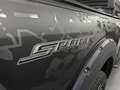 Ford F 150 4x4 Automatik+LKW+AHK+LED+Shzg+Leder+Temp Grau - thumbnail 34