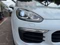 Porsche Cayenne 2016 3.0 Platinum Edition Blanco - thumbnail 28
