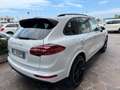 Porsche Cayenne 2016 3.0 Platinum Edition Bianco - thumbnail 7