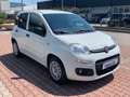 Fiat New Panda 1.3 MJT 80cv S.&S. POP VAN 2 POSTI AZIENDALE Білий - thumbnail 6