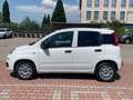 Fiat New Panda 1.3 MJT 80cv S.&S. POP VAN 2 POSTI AZIENDALE Білий - thumbnail 3