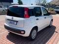 Fiat New Panda 1.3 MJT 80cv S.&S. POP VAN 2 POSTI AZIENDALE Blanc - thumbnail 7