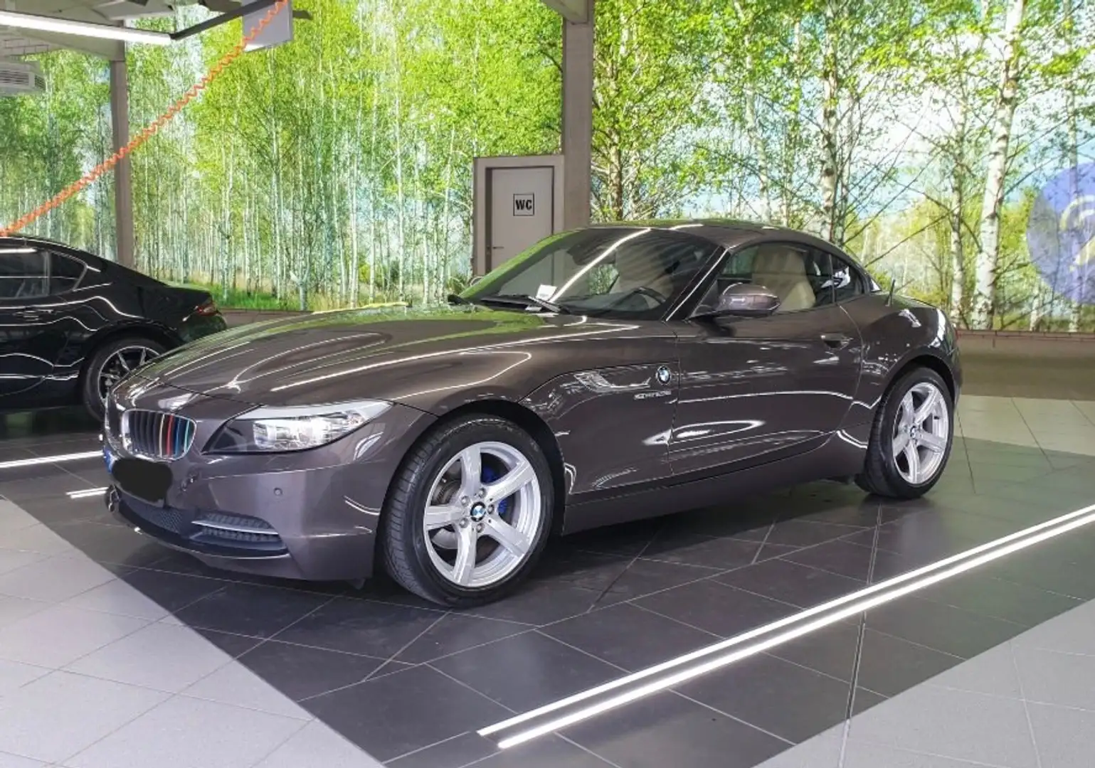 BMW Z4 Z4 sDrive23i Hnědá - 1