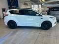 Ford Kuga 1.5 EcoBoost ST-Line AWD ACC AHK Navi Pano Wit - thumbnail 5