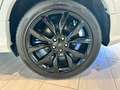 Ford Kuga 1.5 EcoBoost ST-Line AWD ACC AHK Navi Pano Wit - thumbnail 21