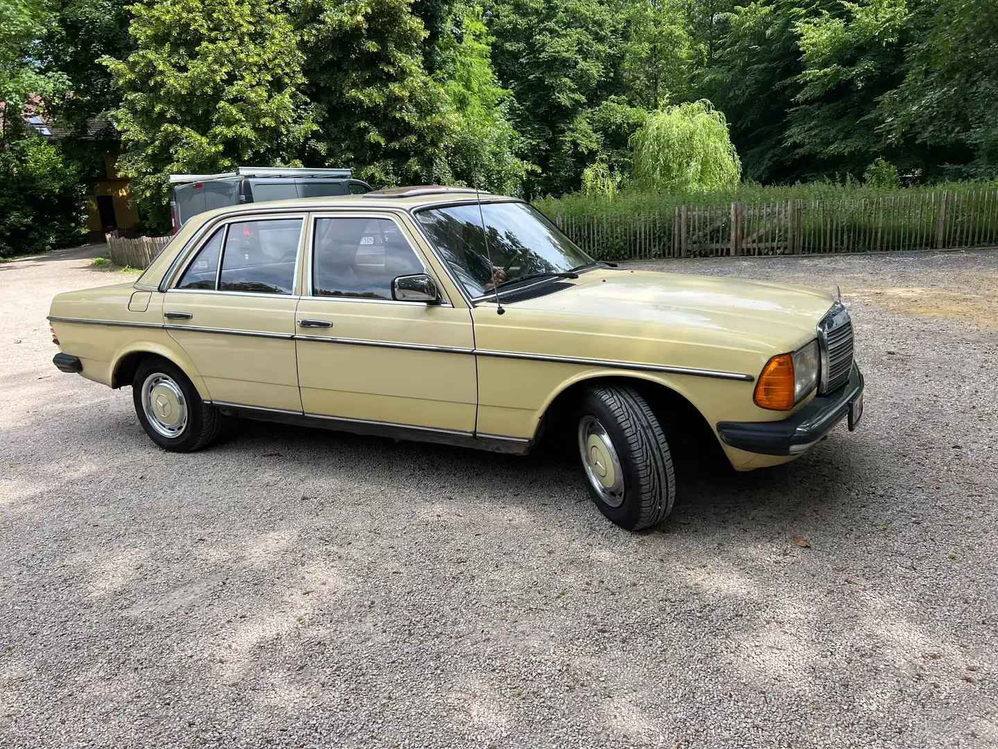 Oldtimer Mercedes Benz 220D Jaune - 1