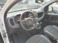 Fiat Panda 0.9 t.air t. 4x4 85cv S&S - km 17.000 - Bianco - thumbnail 12