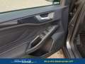 Ford Focus ST-Line Mild-Hybrid X ( 1,0 Ltr. - 155 PS EcoBo... Grau - thumbnail 13