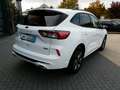 Ford Kuga PHEV ST-Line *iACC*2xKamera*Navi*DAB+* Weiß - thumbnail 7