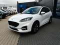 Ford Kuga PHEV ST-Line *iACC*2xKamera*Navi*DAB+* Weiß - thumbnail 1