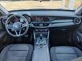 Alfa Romeo Stelvio 2.2 Turbodiesel 190cv AT8 Q4 Business Grigio - thumbnail 9