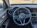 Alfa Romeo Stelvio 2.2 Turbodiesel 190cv AT8 Q4 Business Grigio - thumbnail 12