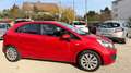 Kia Rio Edition 7 Rot - thumbnail 3