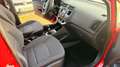 Kia Rio Edition 7 Rot - thumbnail 16
