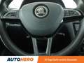 Skoda Rapid/Spaceback 1.0 TSI Ambition*PDC*SHZ*KLIMA*GARANTIE* Blau - thumbnail 19