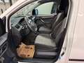 Volkswagen Caddy Caddy Kastenwagen 2,0 TDI 4MOTION/AHK/TEMPOMAT/PDC Weiß - thumbnail 13