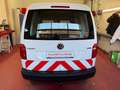 Volkswagen Caddy Caddy Kastenwagen 2,0 TDI 4MOTION/AHK/TEMPOMAT/PDC Weiß - thumbnail 8