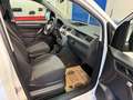 Volkswagen Caddy Caddy Kastenwagen 2,0 TDI 4MOTION/AHK/TEMPOMAT/PDC Weiß - thumbnail 20