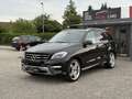 Mercedes-Benz ML 350 AMG/PDC/NAVI/AHK/SZH/SLÜFTUNG - thumbnail 9