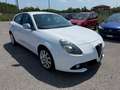 Alfa Romeo Giulietta Giulietta III 2016 1.6 jtdm Super 120cv Bianco - thumbnail 3