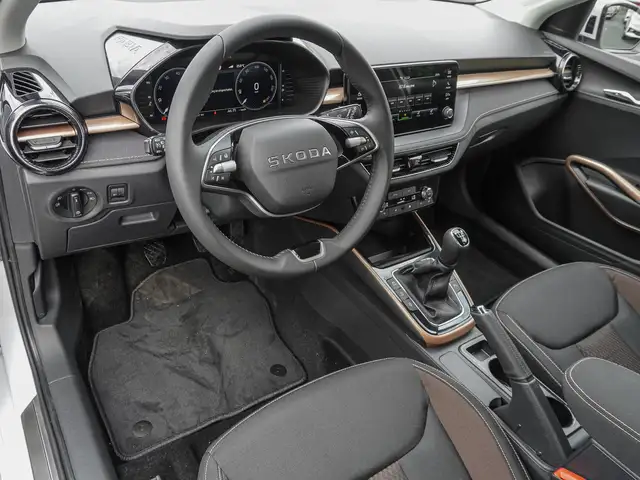Skoda Fabia view 9