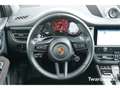 Porsche Macan GTS Pano Bose 18-Wege AHK 360° Memory ACC Weiß - thumbnail 15