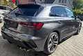 Audi S3 Sportback quattro,PerformanceSportabgasanlage Gris - thumbnail 13