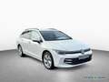Volkswagen Golf VIII Variant 1.5 TSI LIFE LED-PLUS ACC SHZ Weiß - thumbnail 3