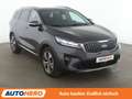 Kia Sorento 2.2 CRDi Platinum Edition 4WD Aut.*NAVI*LED*CAM Grau - thumbnail 8