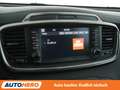 Kia Sorento 2.2 CRDi Platinum Edition 4WD Aut.*NAVI*LED*CAM Grau - thumbnail 21