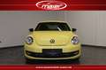Volkswagen Beetle Lim. Sport Leder-Fender-DAB-SHZ-KESSY- Gelb - thumbnail 6