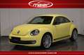 Volkswagen Beetle Lim. Sport Leder-Fender-DAB-SHZ-KESSY- Gelb - thumbnail 4