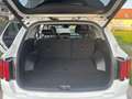 Kia Sorento SORENTO (MQ4) 1.6 T-GDI Hybrid 2WD SPIRIT Weiß - thumbnail 10