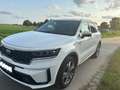Kia Sorento SORENTO (MQ4) 1.6 T-GDI Hybrid 2WD SPIRIT Weiß - thumbnail 13