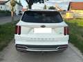 Kia Sorento SORENTO (MQ4) 1.6 T-GDI Hybrid 2WD SPIRIT Weiß - thumbnail 16