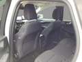 Ford Kuga 2.5 Duratec PHEV Titanium AHK*CAM*LED*NAVI Blanc - thumbnail 8