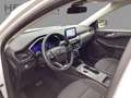 Ford Kuga 2.5 Duratec PHEV Titanium AHK*CAM*LED*NAVI Blanc - thumbnail 7